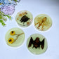 8.5cm Luminous Round Slab with Insect Crystal Healing Bulk Wholesale