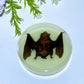 8.5cm Luminous Round Slab with Insect Crystal Healing Bulk Wholesale