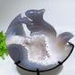 Druzy Agate Squirrel Carving with Stand Free Form Crystal Healing Bulk Wholesale