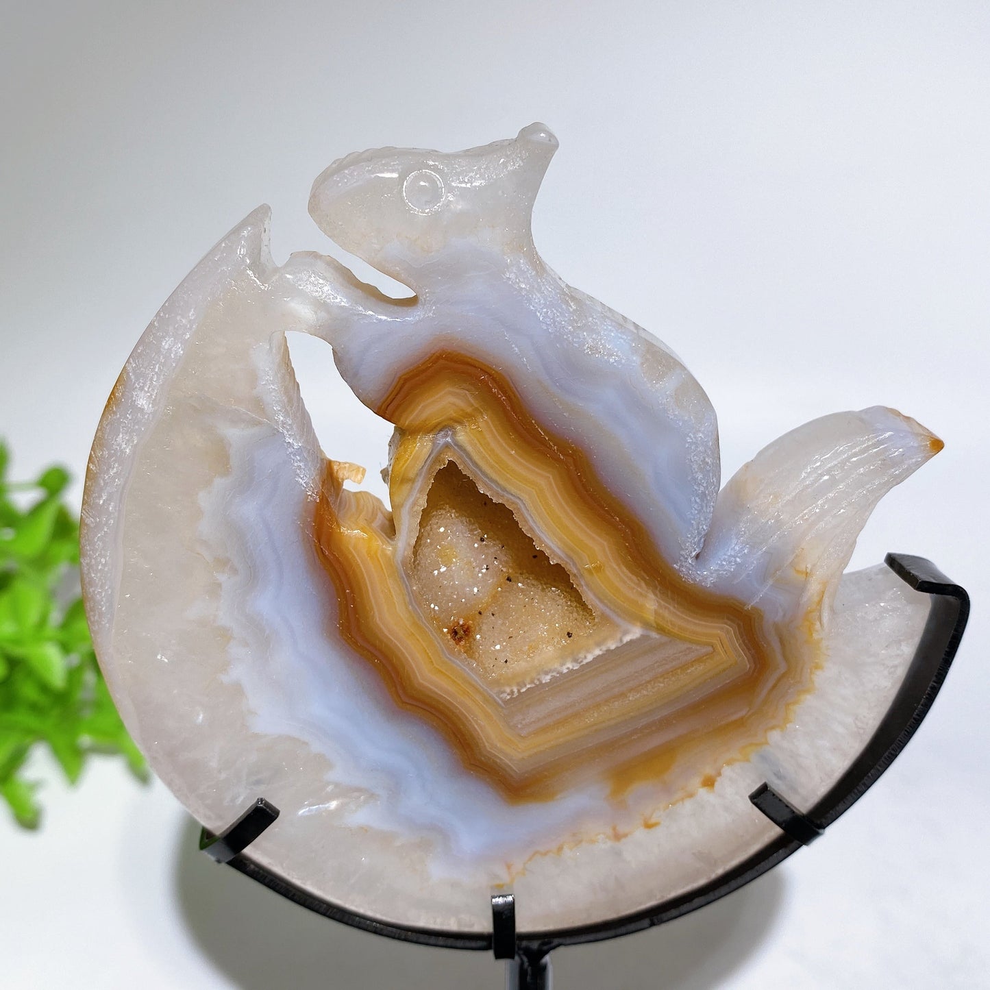 Druzy Agate Squirrel Carving with Stand Free Form Crystal Healing Bulk Wholesale