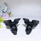 2.6" Black Obsidian Skull with Bat Carving Crystal Healing Bulk Wholesale
