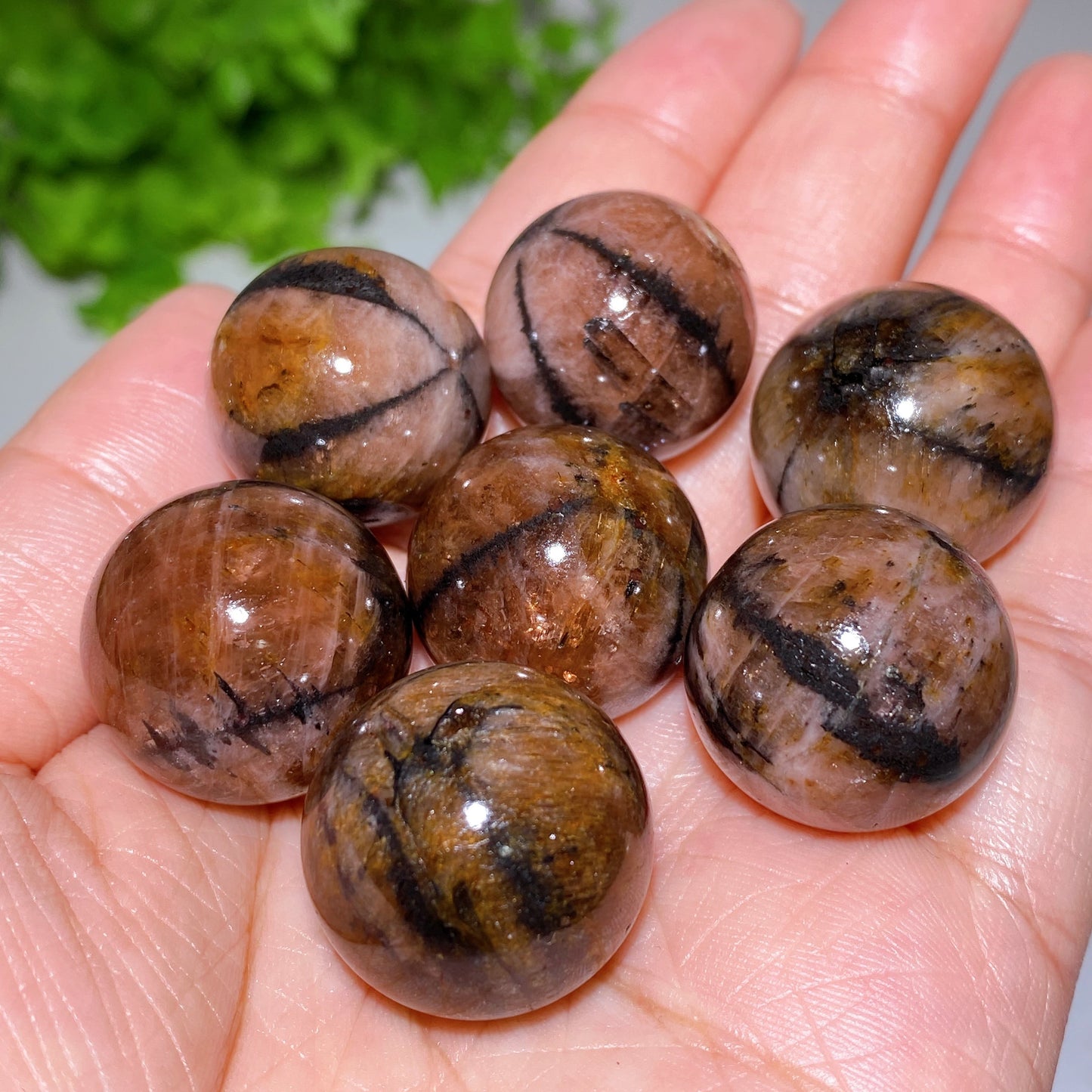 22mm Chiastolite Sphere Crystal Healing Bulk Wholesale