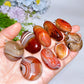1.0"-1.8" Sardonyx Tumble Pendant Crystal Healing Bulk Wholesale