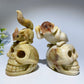 Jade Squirrel Monkey with Skull Carving Crystal Healing Bulk Wholesale