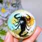 45mm Luminous Resin with Insect Free Form Crystal Healing Bulk Wholesale