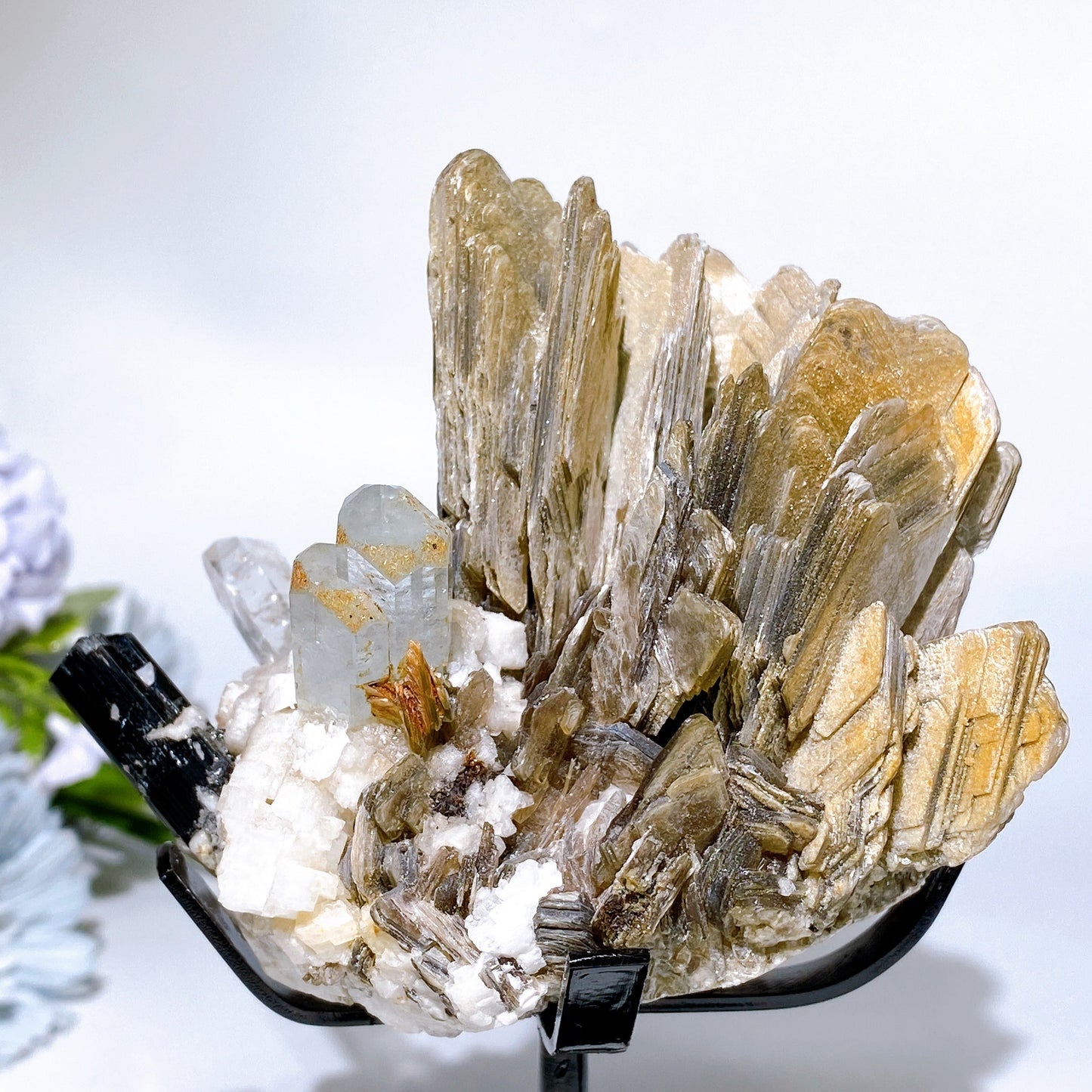 Unique Golden Mica Grow with Aquamarine Black Tourmaline & Quartz Specimen with Stand Crystal Healing Bulk Wholesale