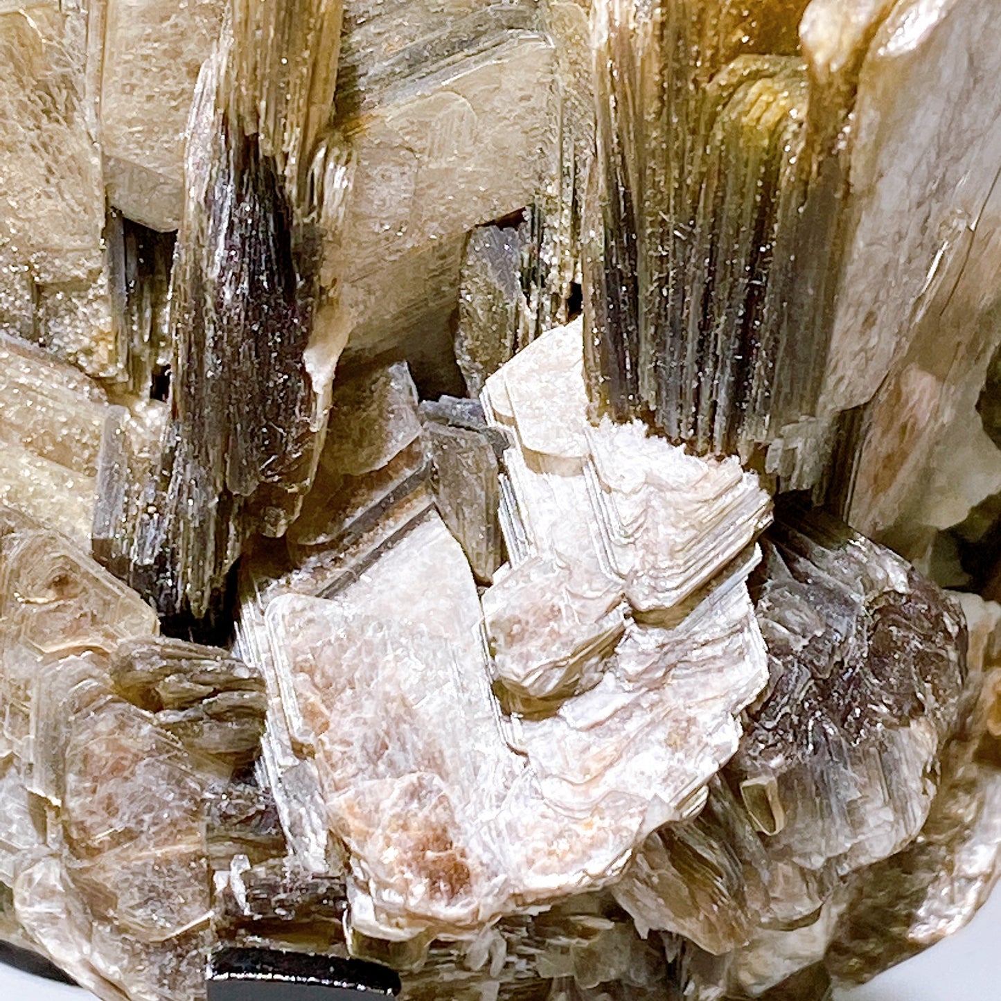 Unique Golden Mica Grow with Aquamarine Black Tourmaline & Quartz Specimen with Stand Crystal Healing Bulk Wholesale