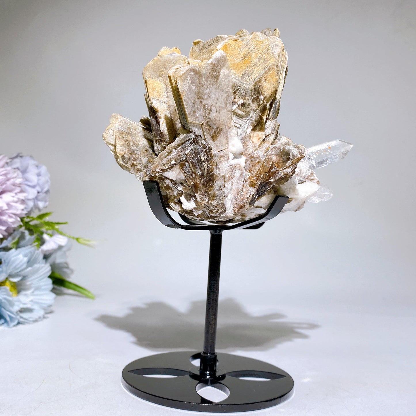 Unique Golden Mica Grow with Aquamarine Black Tourmaline & Quartz Specimen with Stand Crystal Healing Bulk Wholesale