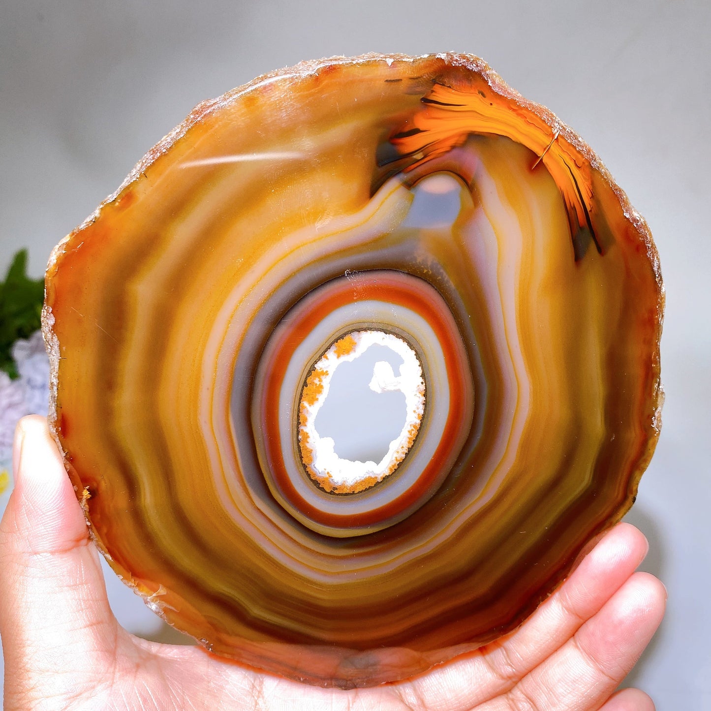 15cm Banded Druzy Agate Slab Carving with Stand Crystal Healing Bulk Wholesale