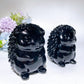 3.1" Black Obsidian Hedgehog Carving Crystal Healing Bulk Wholeale