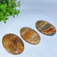 2.2" Crazy Agate Palm Stone Crystal Healing Bulk Wholesale