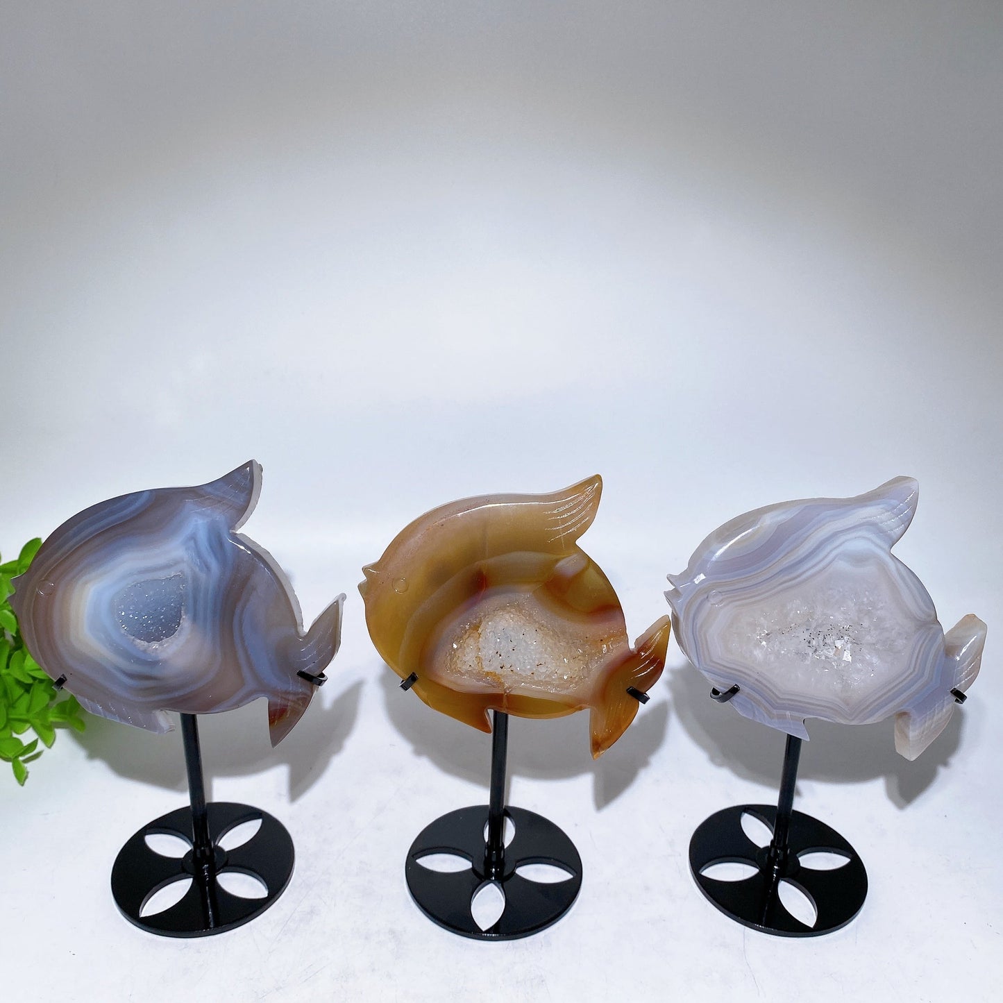 Druzy Agate Fish Carving with Stand Crystal Healing Bulk Wholesale