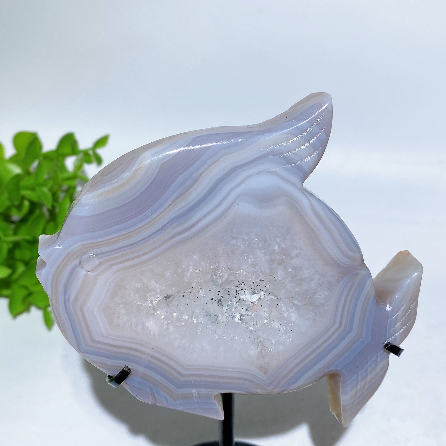 Druzy Agate Fish Carving with Stand Crystal Healing Bulk Wholesale