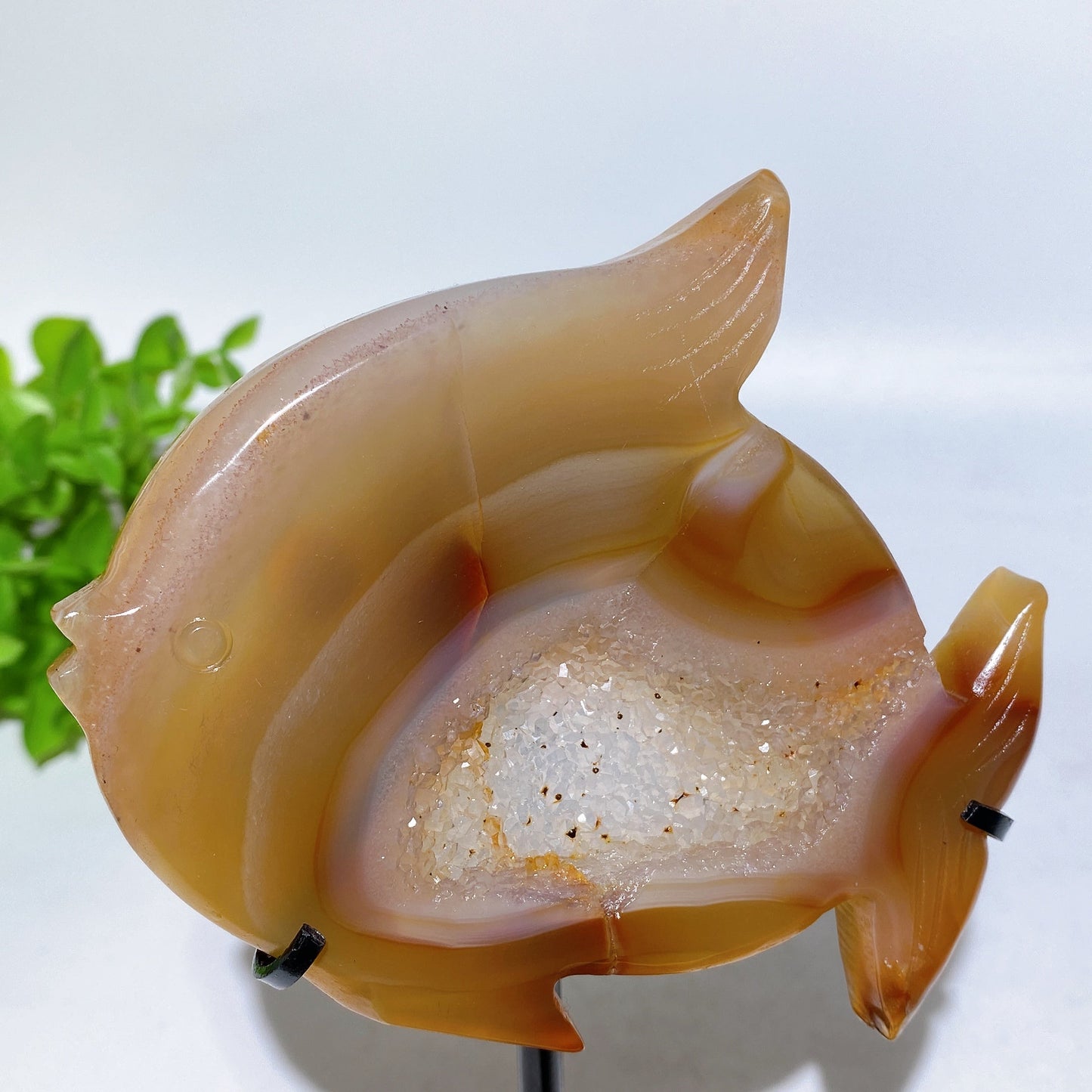 Druzy Agate Fish Carving with Stand Crystal Healing Bulk Wholesale