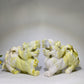 22.5cm Serpentine Kylin Carving Pair Crystal Healing Bulk Wholesale