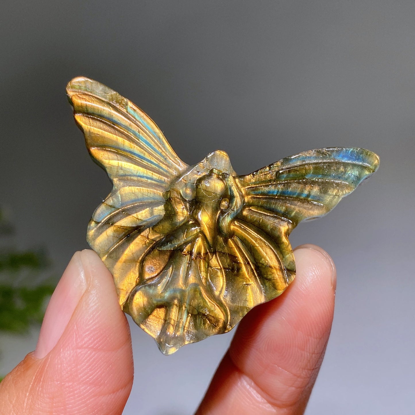 1.9" Labradorite Butterfly Fairy Carving Crystal Healing Bulk Wholesale