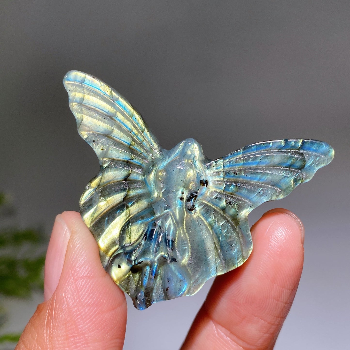 1.9" Labradorite Butterfly Fairy Carving Crystal Healing Bulk Wholesale