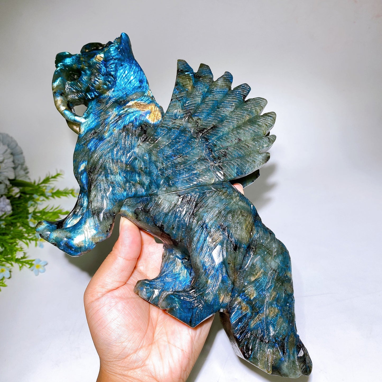 28cm Large Unique Labradorite Smilodon with Wings Carving Crystal Healing Bulk Wholesale
