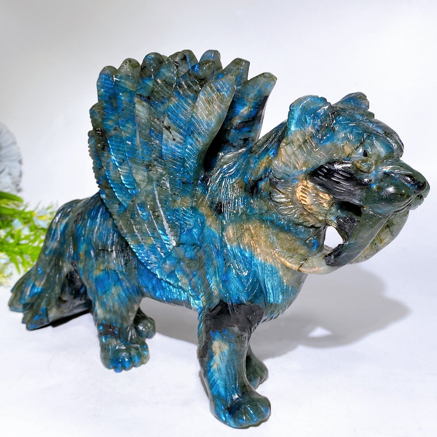 28cm Large Unique Labradorite Smilodon with Wings Carving Crystal Healing Bulk Wholesale