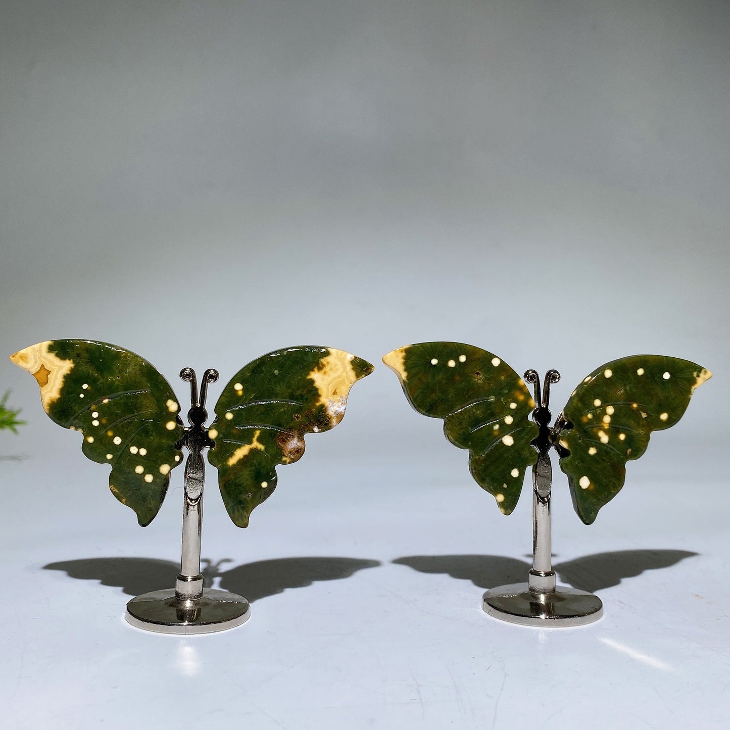 Ocean Jasper Butterfly Wings Carving with Stand Crystal Healing Bulk Wholesale