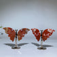 Ocean Jasper Butterfly Wings Carving with Stand Crystal Healing Bulk Wholesale