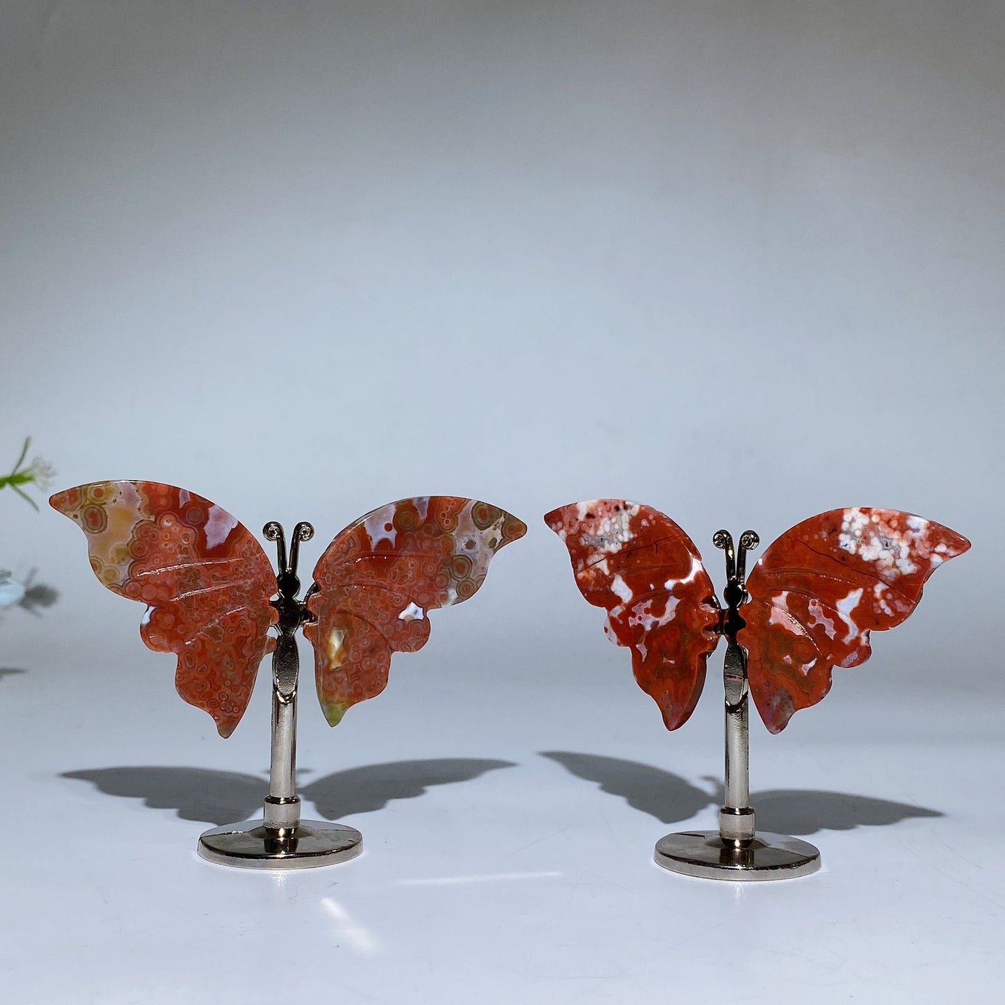 Ocean Jasper Butterfly Wings Carving with Stand Crystal Healing Bulk Wholesale