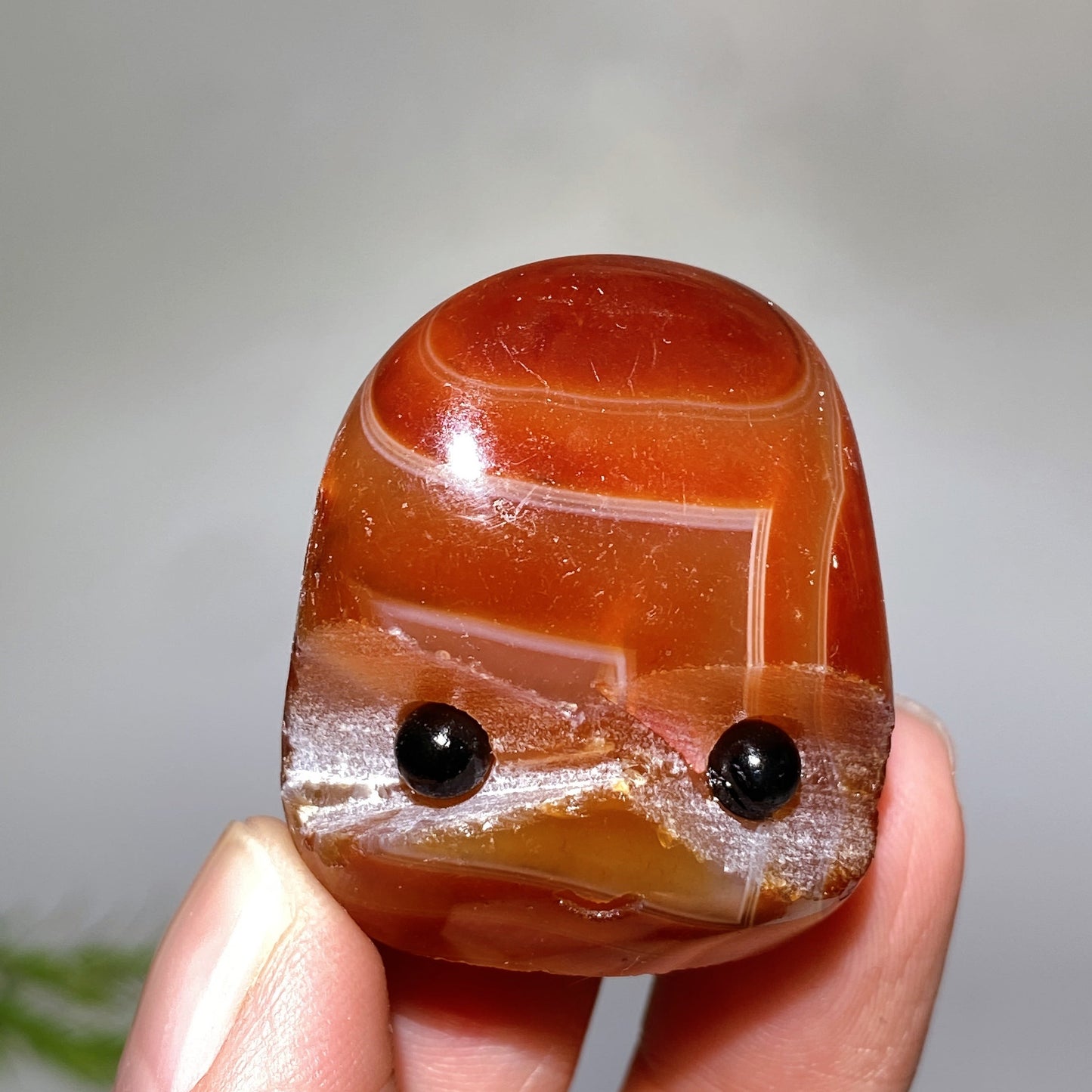 1.4"-2.0" Sardonyx Groot Head Crystal Healing Bulk Wholesale