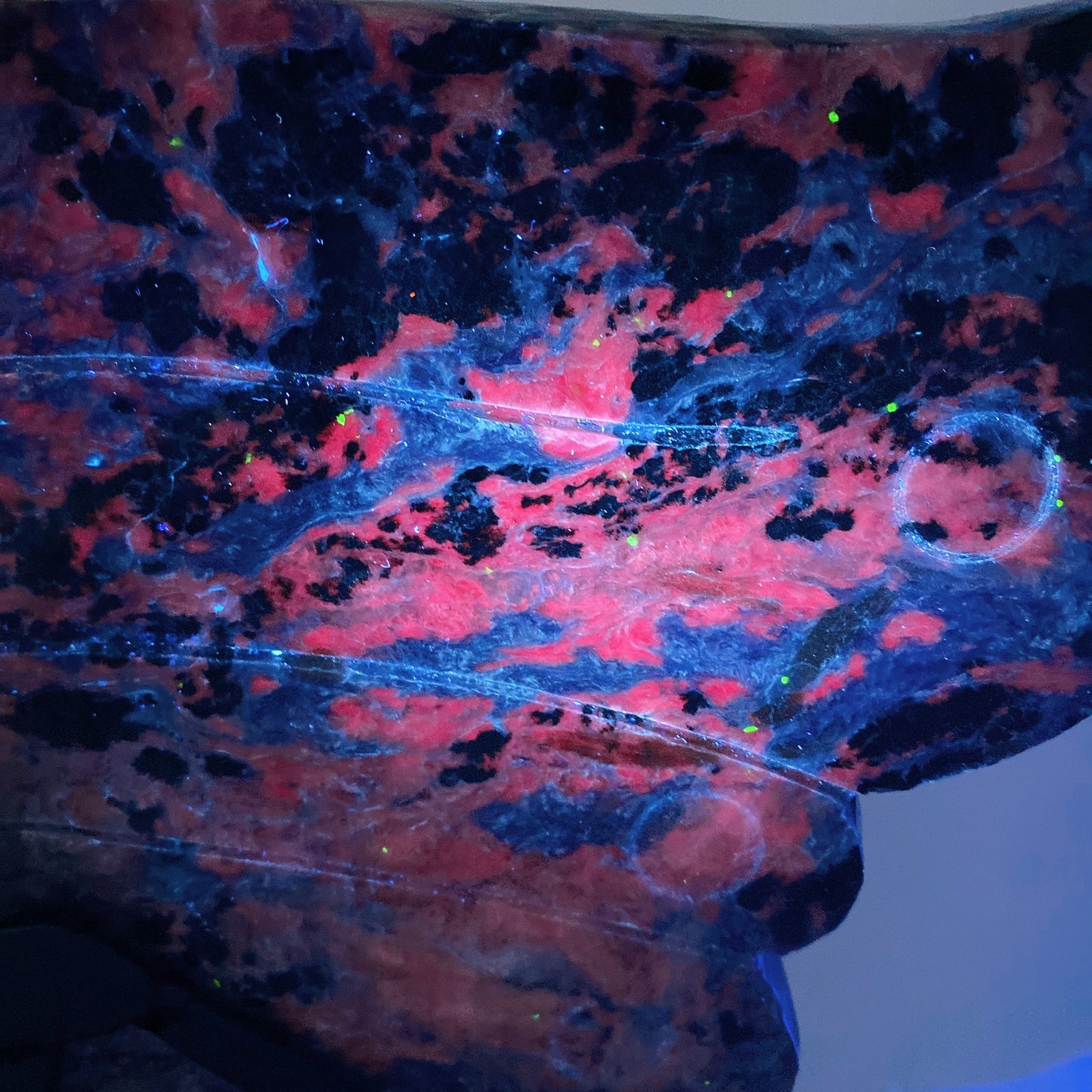 Large Unique Charoite with Calcite Butterfly Wings with Stand Crystal Healing Bulk Wholesale