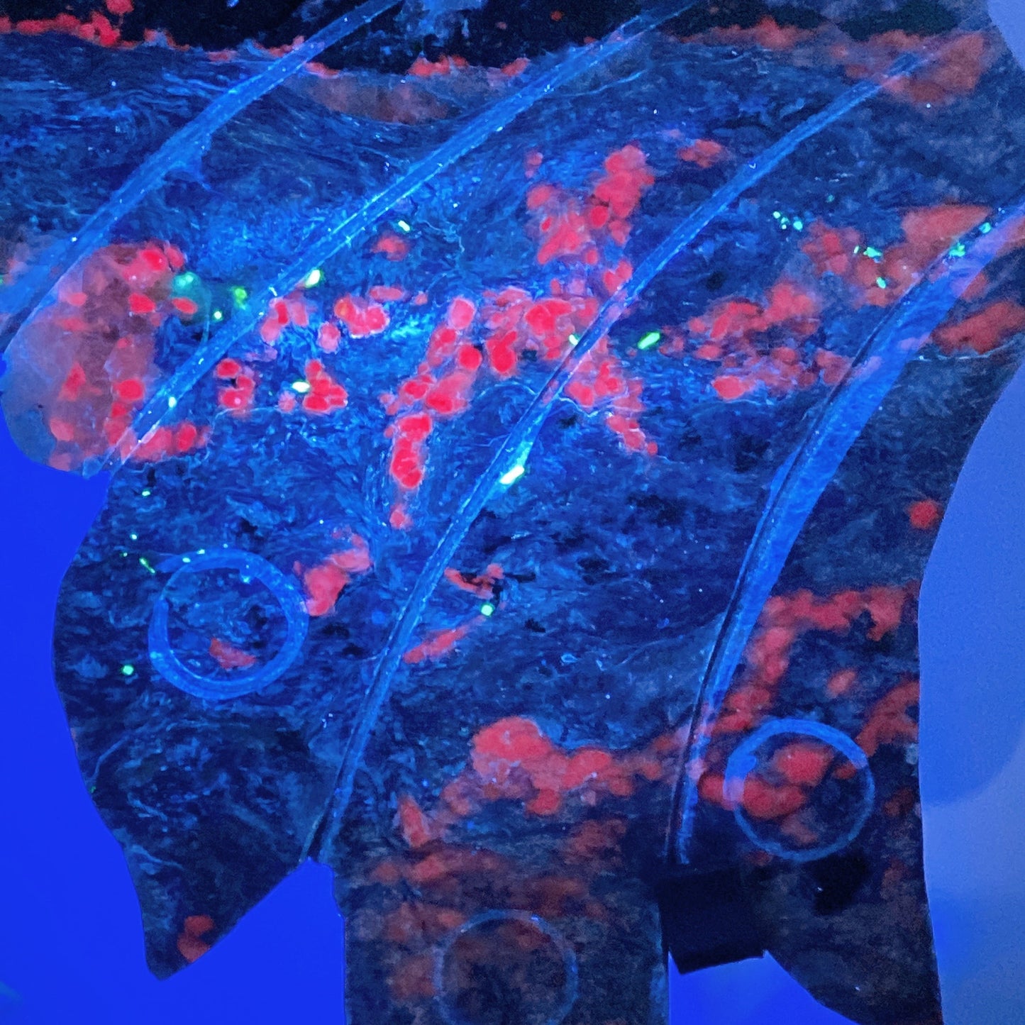 Large Unique Charoite with Calcite Butterfly Wings with Stand Crystal Healing Bulk Wholesale