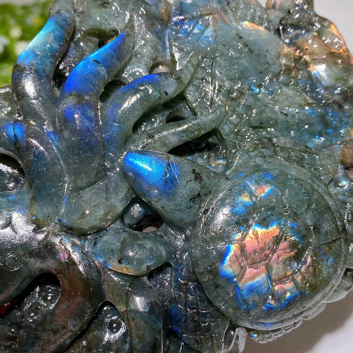 14cm Unique Hand Carved Labradorite Ocean World Fish Turtle Octopus Carving Crystal Healing Bulk Wholesale