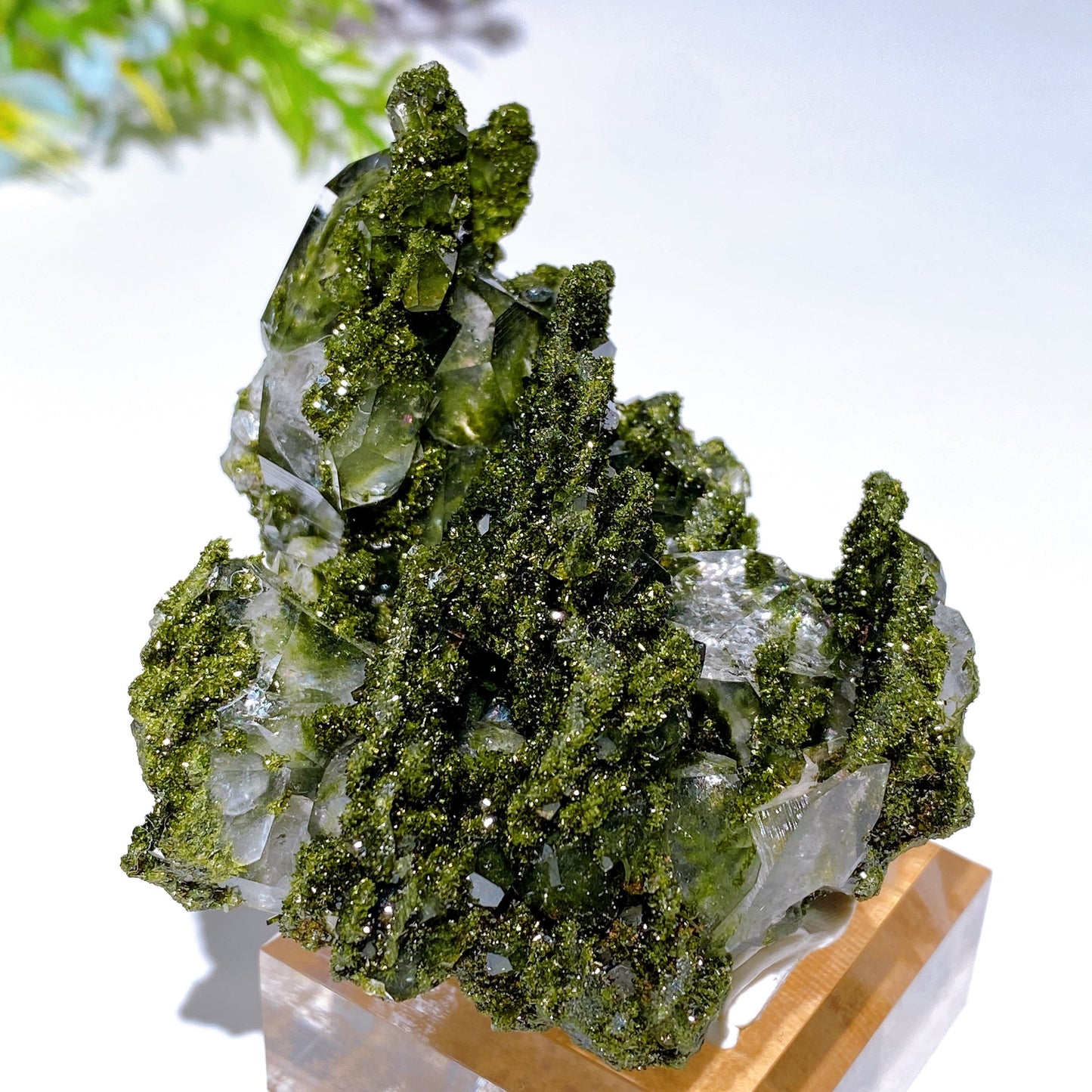 Forest Epidote with Quartz Specimen Crystal Healing Bulk Wholesale