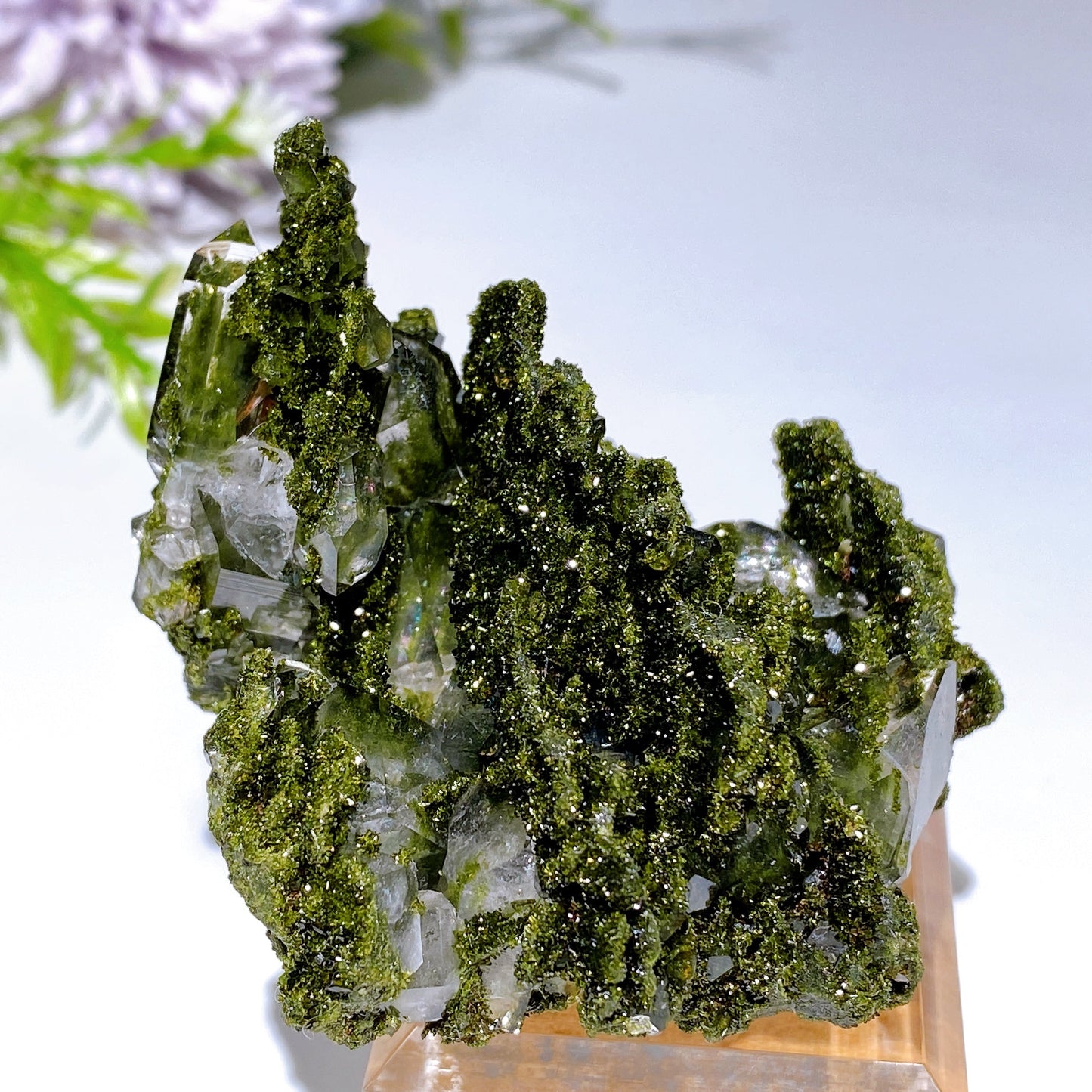 Forest Epidote with Quartz Specimen Crystal Healing Bulk Wholesale