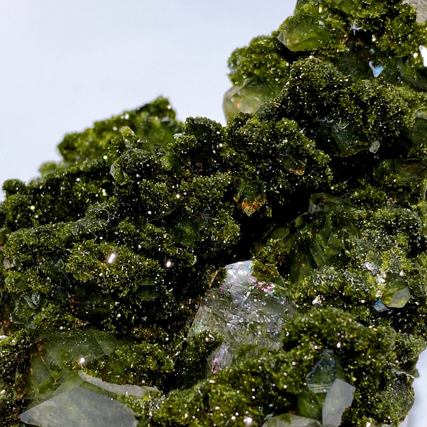 Forest Epidote with Quartz Specimen Crystal Healing Bulk Wholesale