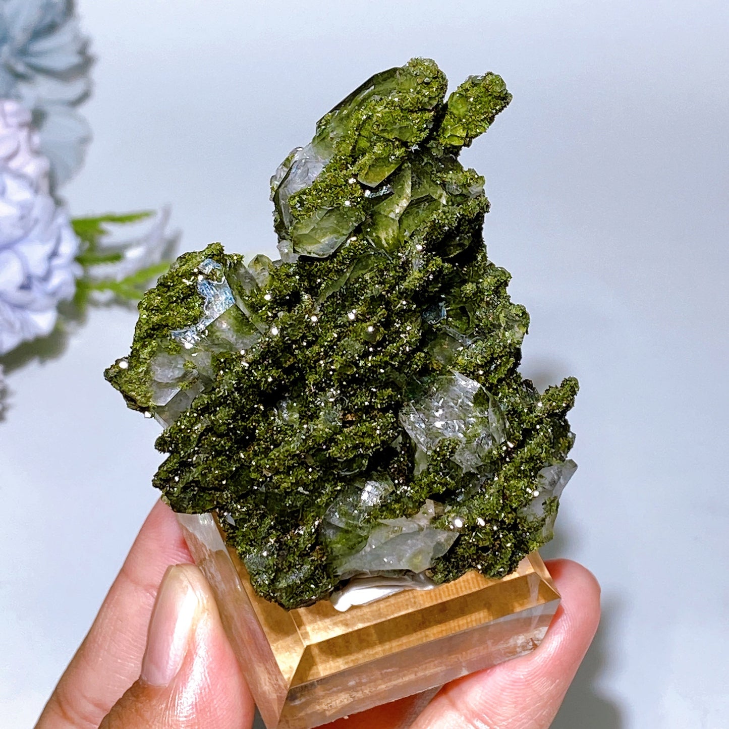 Forest Epidote with Quartz Specimen Crystal Healing Bulk Wholesale