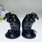 2.4" Black Obsidian Vulture Carving Crystal Healing Bulk Wholesale