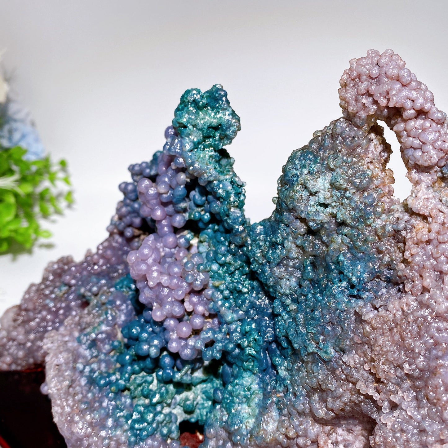 23cm Large unique Grape Agate Specimen with Free Wooden Stand Crystal Healing Bulk Wholesale