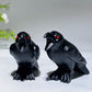 3.5" Black Obsidian Raven Crow Carving Crystal Healing Bulk Wholesale