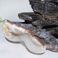 Unique Hand Carved Agate Eagle Snake Carving Crystal Healing Bulk Wholesale