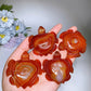 2.0"-2.2" Carnelian Turtle Carving Crystal Healing Bulk Wholesale