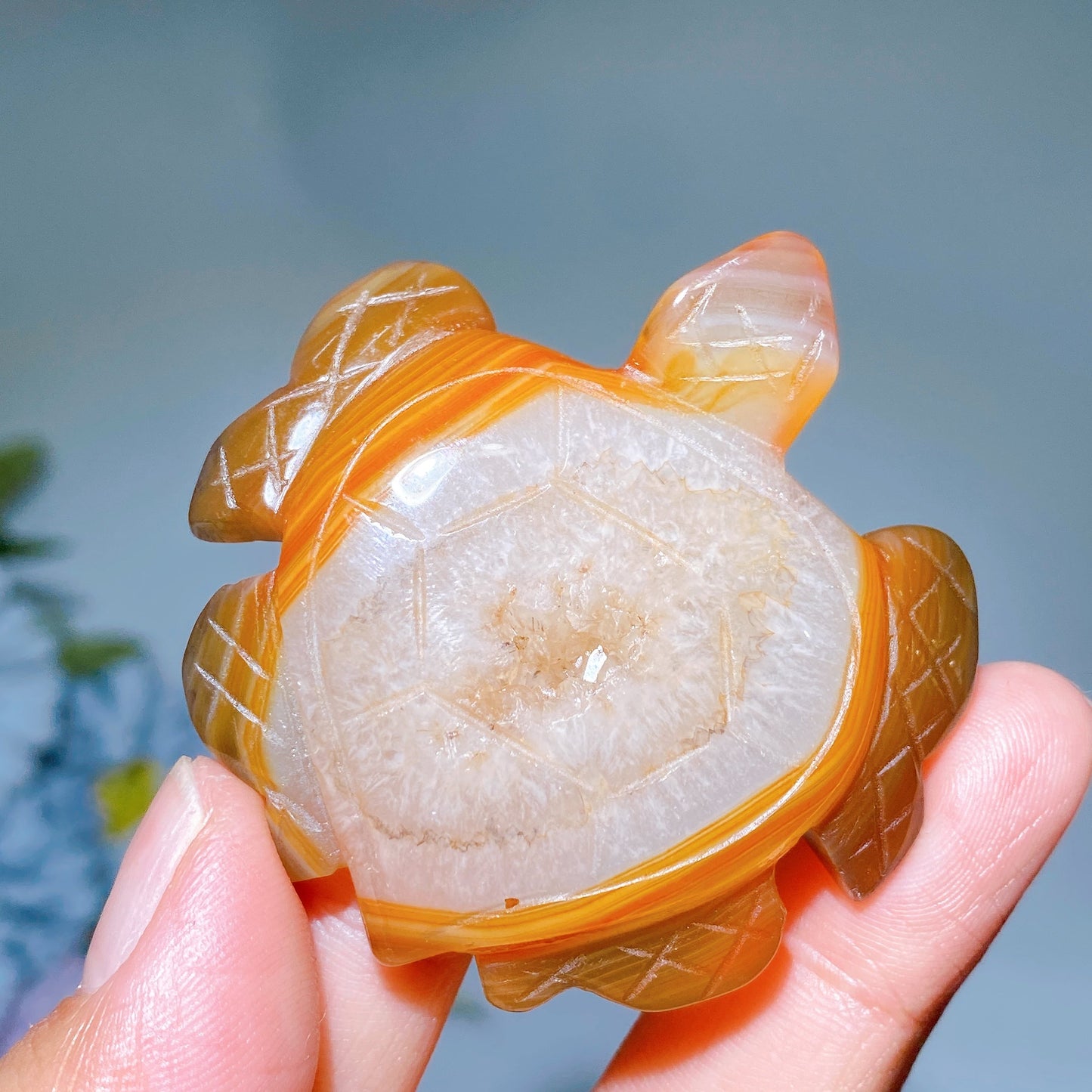 2.0"-2.2" Carnelian Turtle Carving Crystal Healing Bulk Wholesale