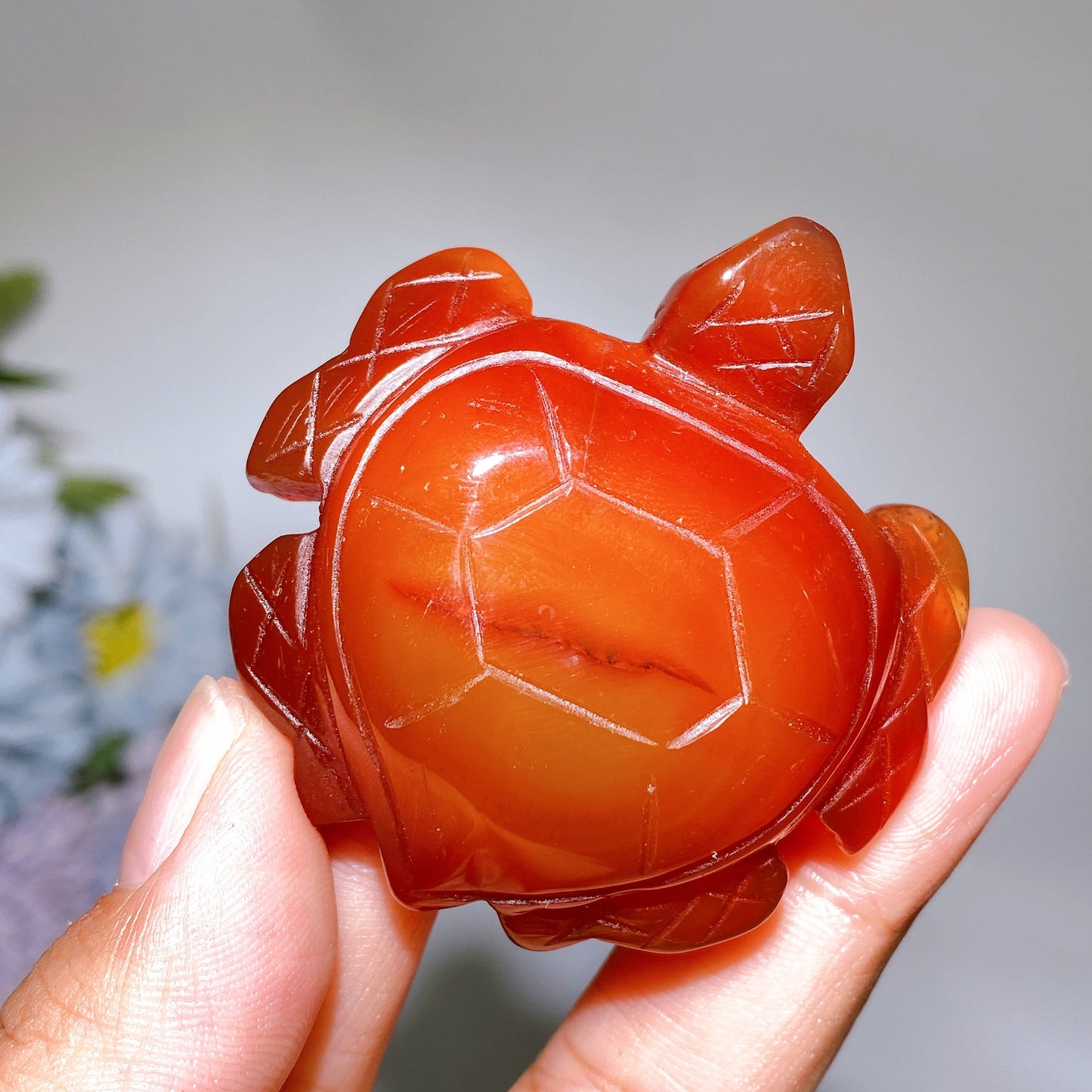 2.0"-2.2" Carnelian Turtle Carving Crystal Healing Bulk Wholesale