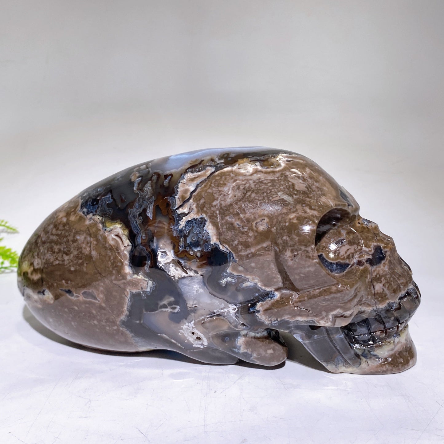 Large Unique Hand Carved Natural Volcanic Agate Skull Crystal Healing Bulk Wholesale