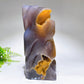 Unique Natural Agate Geode with Nine-tails Fox Carving Free Form Crystal Healing Bulk Wholesale