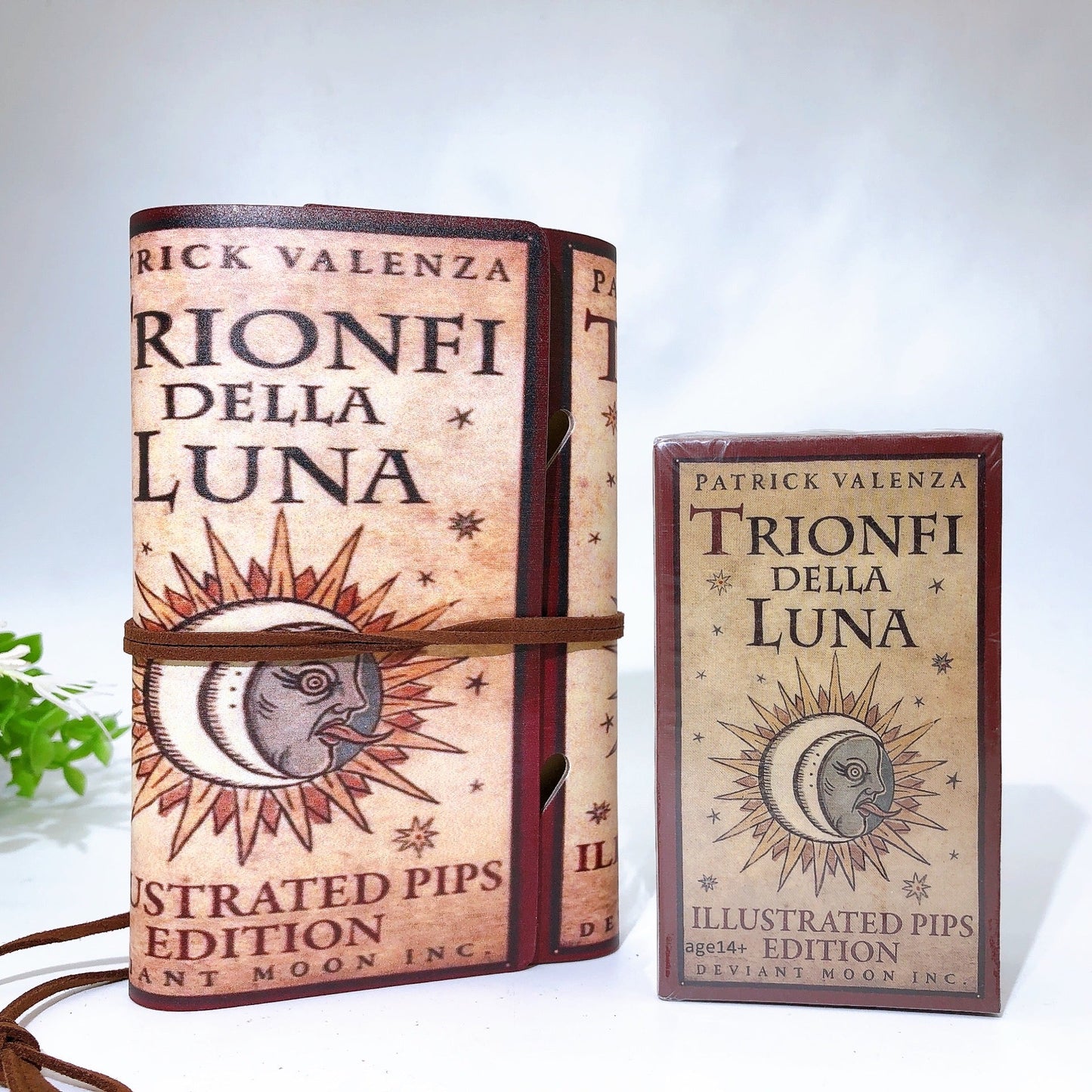 Tarot Cards with Notebook Crystal Healing Bulk Wholesale