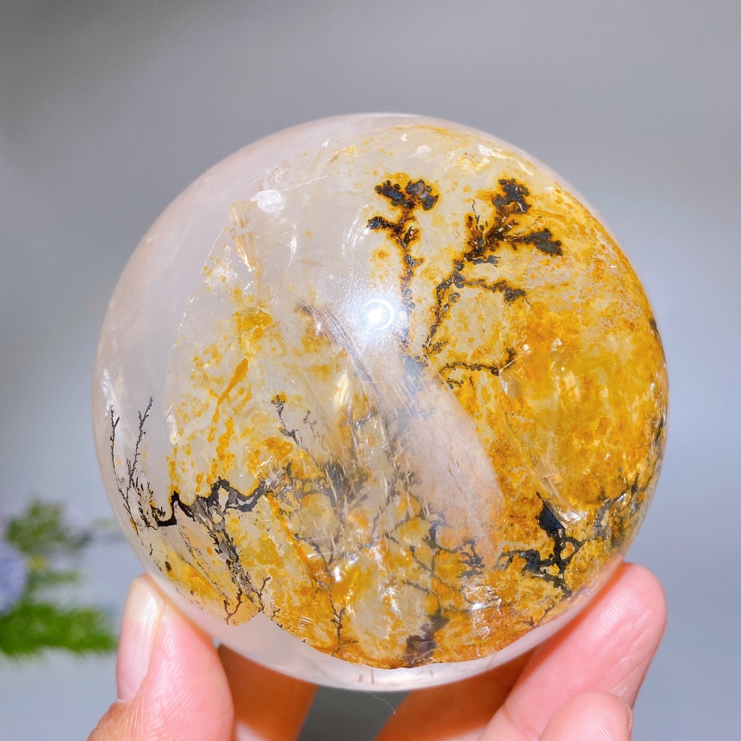 78mm Unique Denrite in Clear Quartz Sphere Crystal Healing Bulk Wholesale