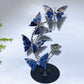 21cm Natrual Butterfly Sphere Holder Crystal Healing Bulk Wholesale