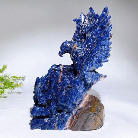 20cm Hand Carved Natural Sodalite Eagle Crystal Healing Bulk Wholesale