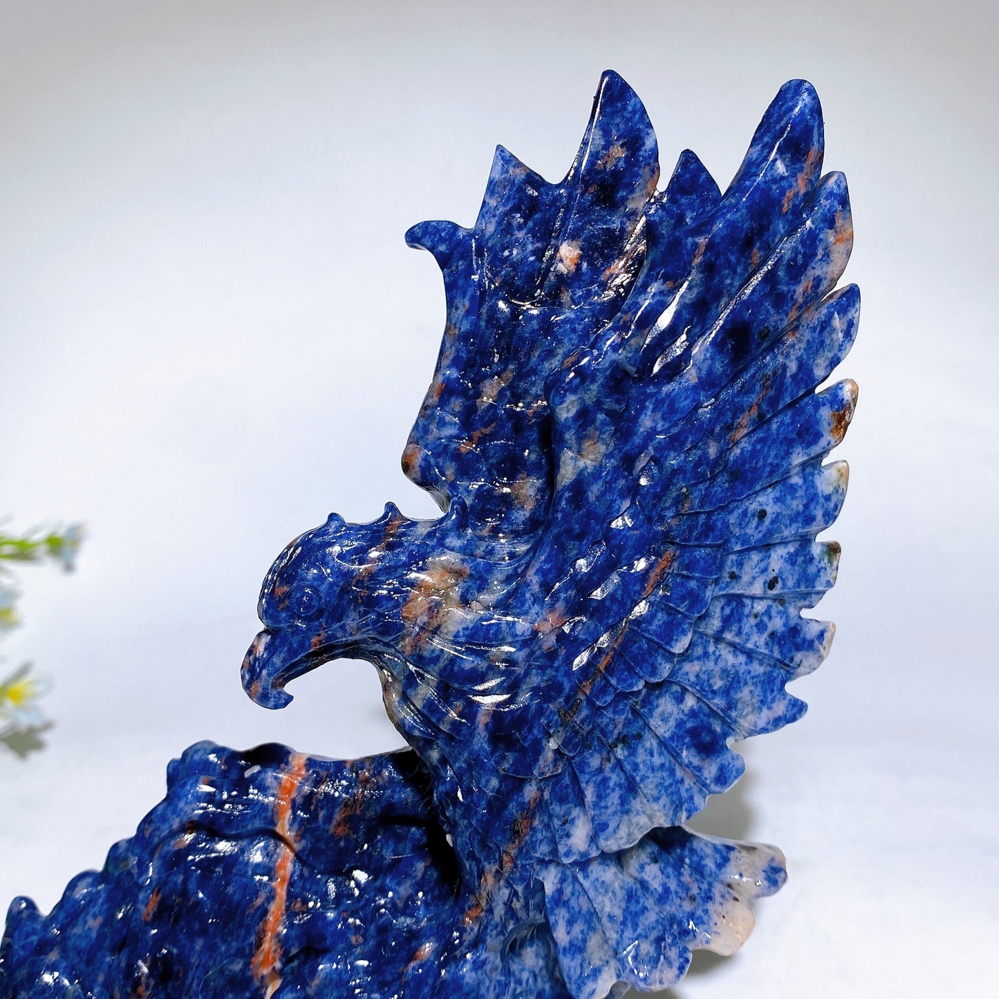 20cm Hand Carved Natural Sodalite Eagle Crystal Healing Bulk Wholesale