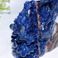 20cm Hand Carved Natural Sodalite Eagle Crystal Healing Bulk Wholesale