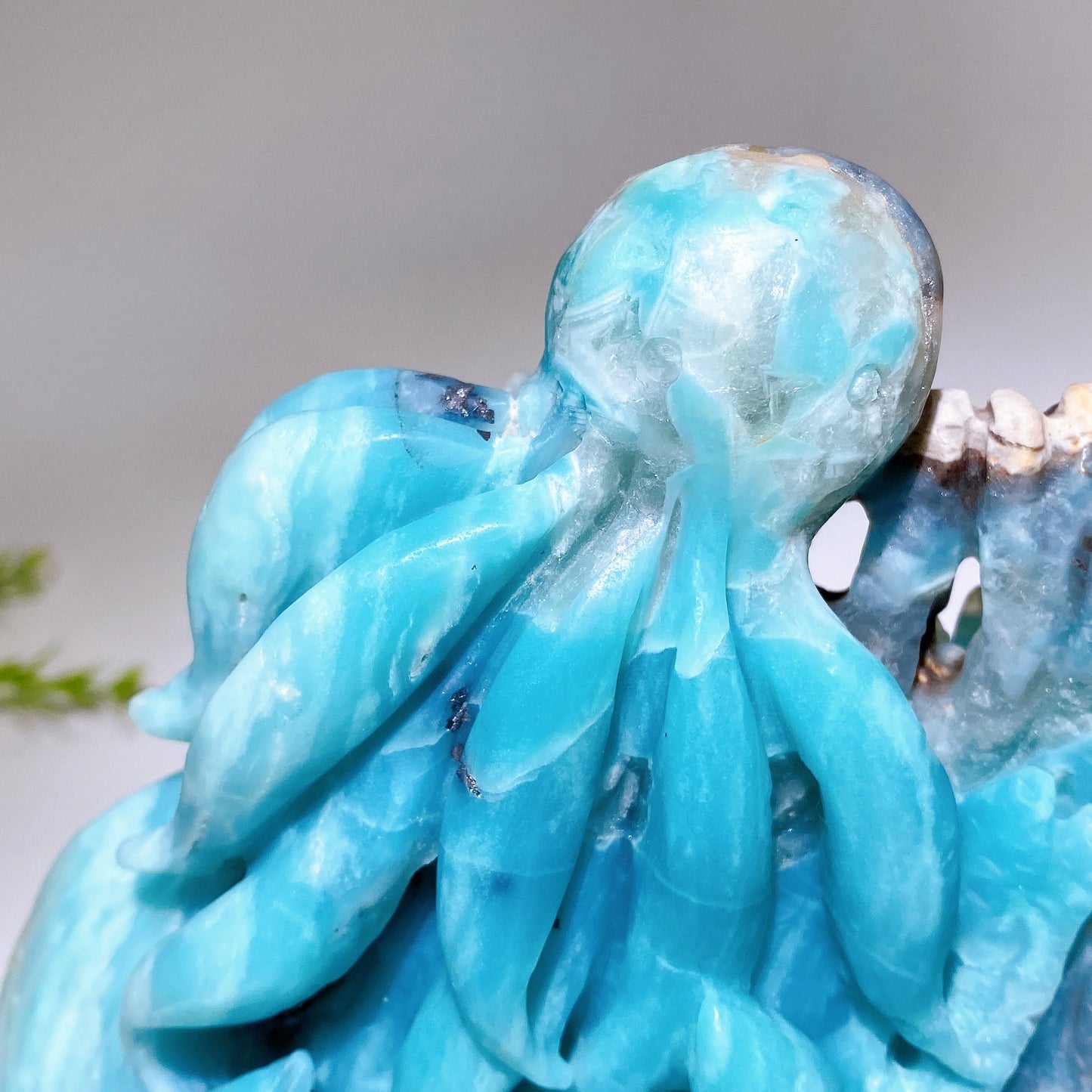 20cm Hand Carved Caribbean Calcite Ocean World Octopus Dolphin Turtle Free Form Crystal Healing Bulk Wholesale